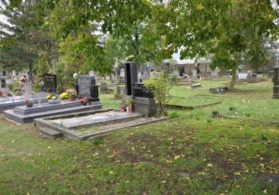 Žitenice, Omnium, 2020