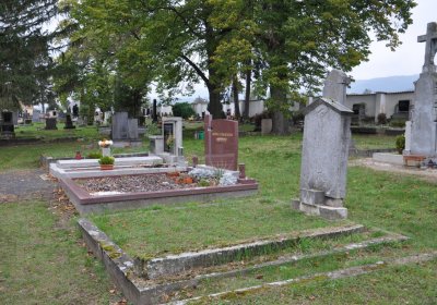 Žitenice, Omnium, 2020