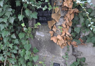 Žitenice, Omnium, 2020