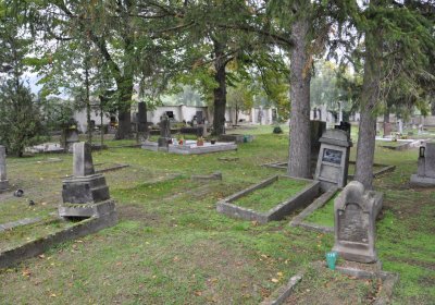 Žitenice, Omnium, 2020