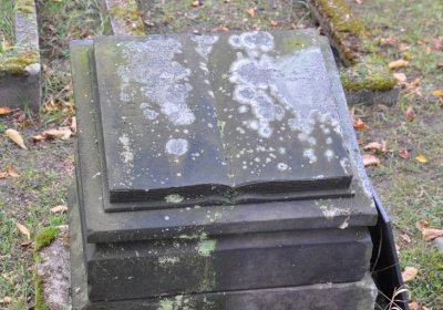 Žitenice, Omnium, 2020