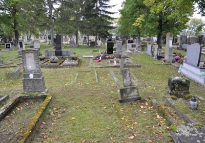 Žitenice, Omnium, 2020