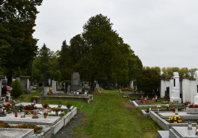 Žitenice, Omnium, 2020