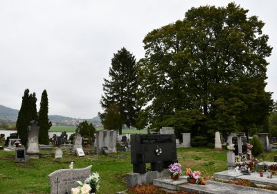 Žitenice, Omnium, 2020