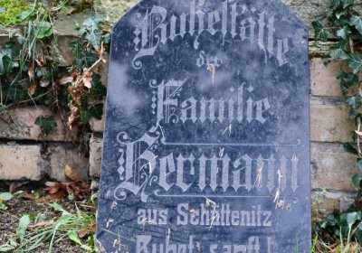 Žitenice, Omnium, 2020