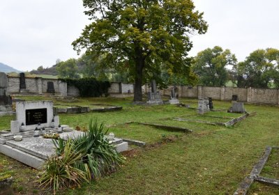 Žitenice, Omnium, 2020
