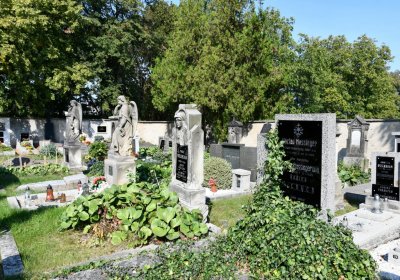 Cítoliby, Omnium, 2020