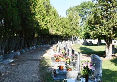 Cítoliby, Omnium, 2020