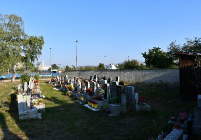 Dobroměřice obecní, Omnium, 2020