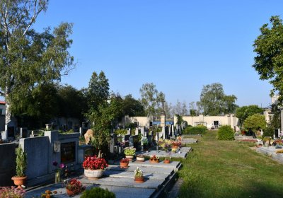 Dobroměřice obecní, Omnium, 2020