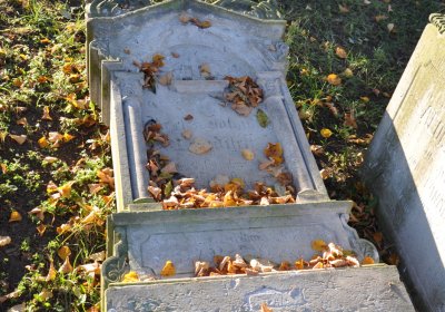 Holedeč, Omnium, 2020