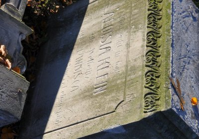 Holedeč, Omnium, 2020