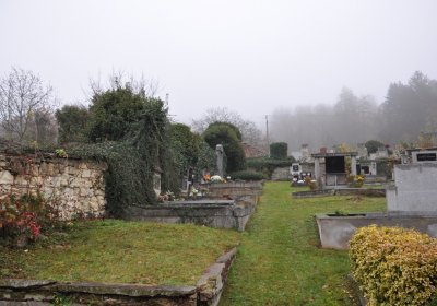 Hřivice obecní, Omnium, 2020