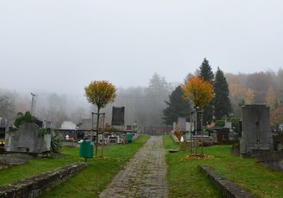 Hřivice obecní, Omnium, 2020