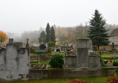 Hřivice obecní, Omnium, 2020
