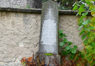 Hřivice obecní, Omnium, 2020