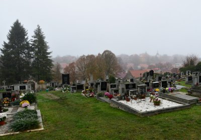 Hřivice obecní, Omnium, 2020