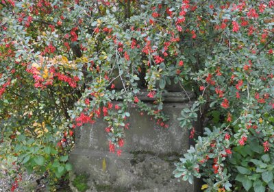 Chlumčany u kostela, Omnium, 2020