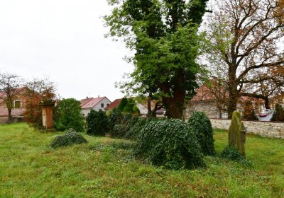 Chlumčany u kostela, Omnium, 2020