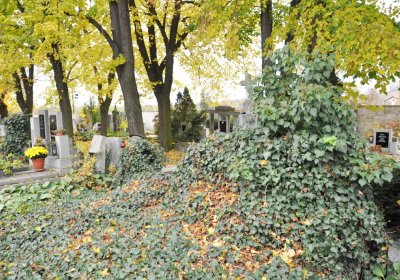 Chlumčany, Omnium, 2020