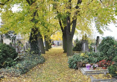 Chlumčany, Omnium, 2020