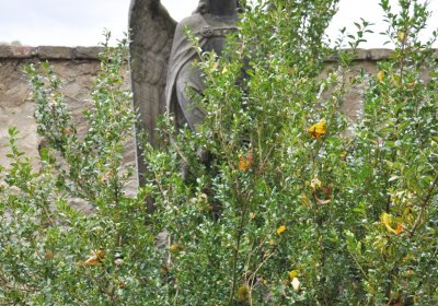 Chlumčany, Omnium, 2020