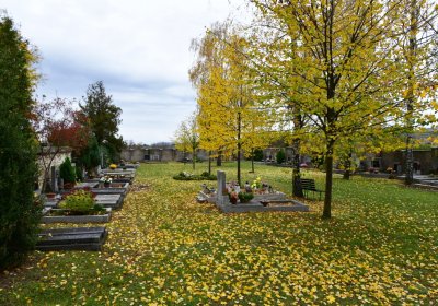 Chlumčany, Omnium, 2020