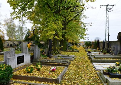 Chlumčany, Omnium, 2020