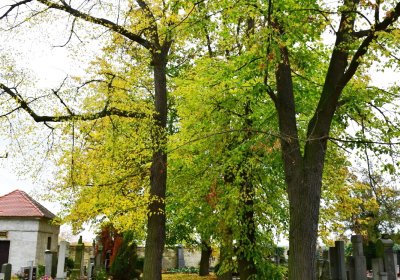 Chlumčany, Omnium, 2020