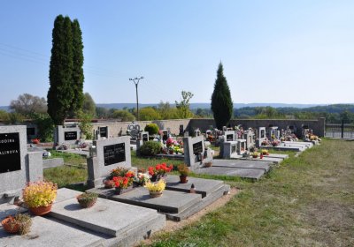 Koštice, Omnium, 2020