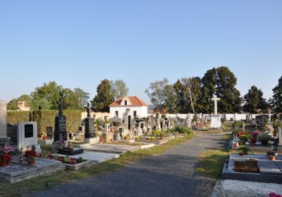 Lenešice, Omnium, 2020