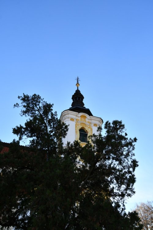 Libočany
