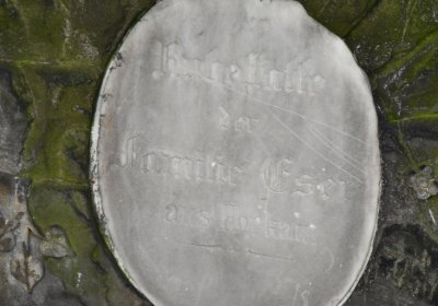 Libočany, Omnium, 2020