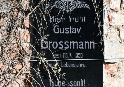 Libočany, Omnium, 2020