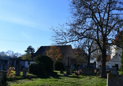 Libočany, Omnium, 2020