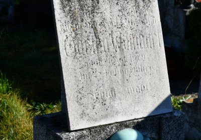 Libočany, Omnium, 2020