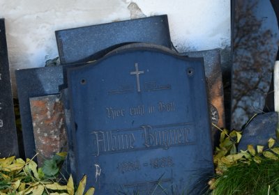 Libočany, Omnium, 2020