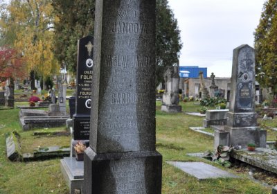 Panenský Týnec, Omnium, 2020