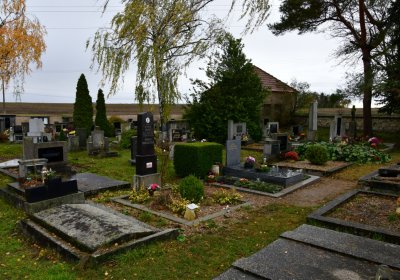 Panenský Týnec, Omnium, 2020