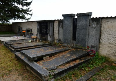 Panenský Týnec, Omnium, 2020