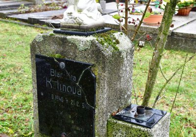 Panenský Týnec, Omnium, 2020