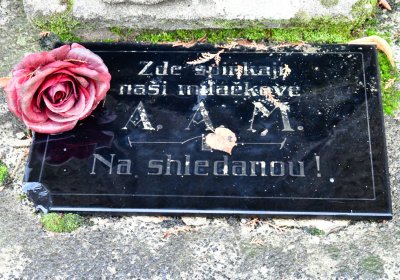 Panenský Týnec, Omnium, 2020