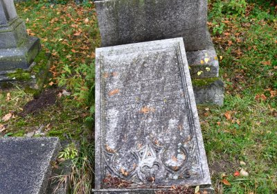 Panenský Týnec, Omnium, 2020