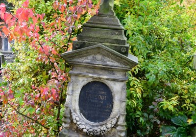 Panenský Týnec, Omnium, 2020