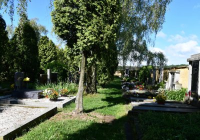 Nová Ves u Hříškova, Omnium, 2020