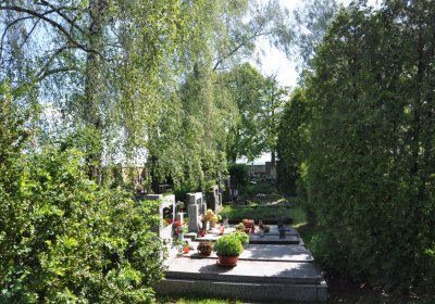 Nová Ves u Hříškova, Omnium, 2020