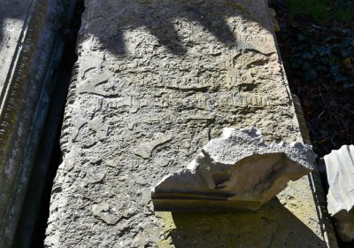 Nové Sedlo, Omnium, 2020