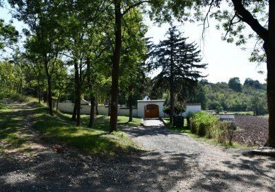 Opočno u Loun, Omnium, 2020