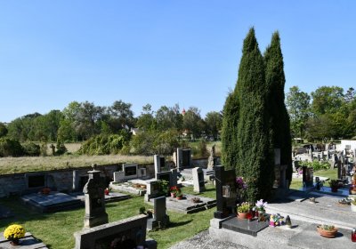 Opočno u Loun, Omnium, 2020