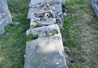 Opočno u Loun, Omnium, 2020